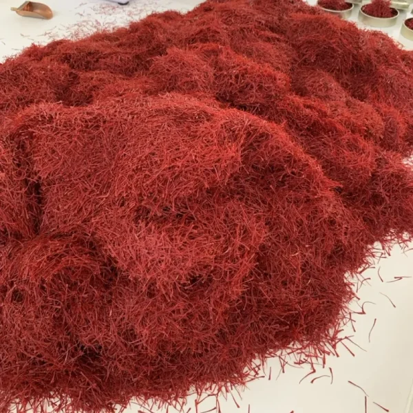 زعفران نگین اتویی