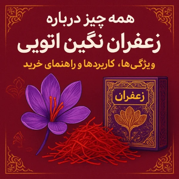 راهنمای کامل زعفران نگین اتویی؛ از مراحل تولید تا نگهداری و صادرات